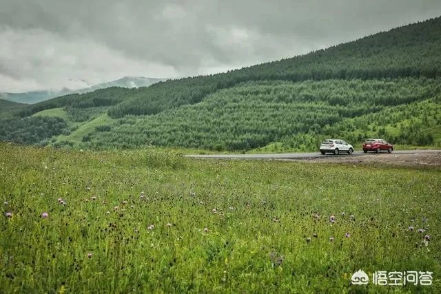 中国哪个草原最漂亮？最值得一去？