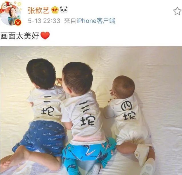 张歆艺为什么叫四坨 她和姚笛长相对比图