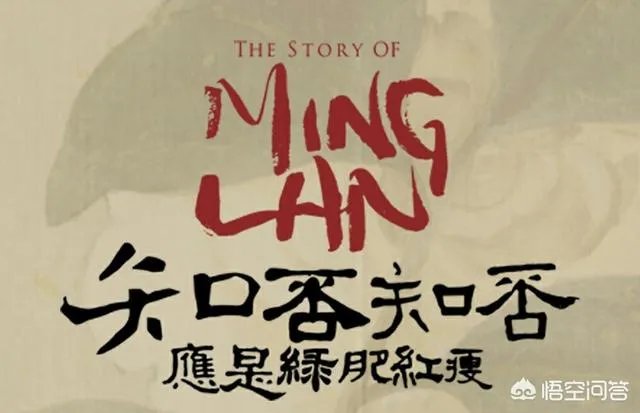 如何评价《知否知否，应是绿肥红瘦》这部剧？