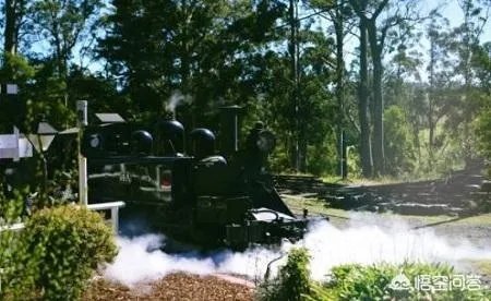 你有哪些去墨尔本的旅游攻略分享？你有哪些自由行攻略？