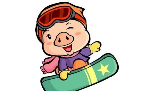 属猪2019年运势运程 生肖猪2019年运势大全