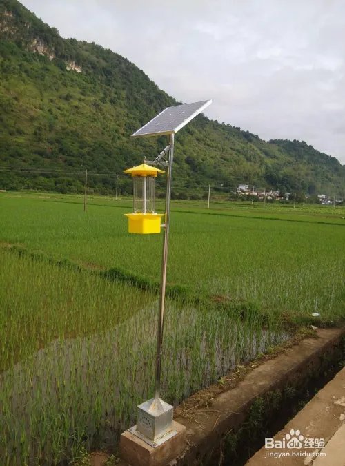 农业杀虫灯有哪些分类？各有什么作用？