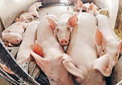 软性大宗商品价格普遍上涨，上涨之后有什么后果