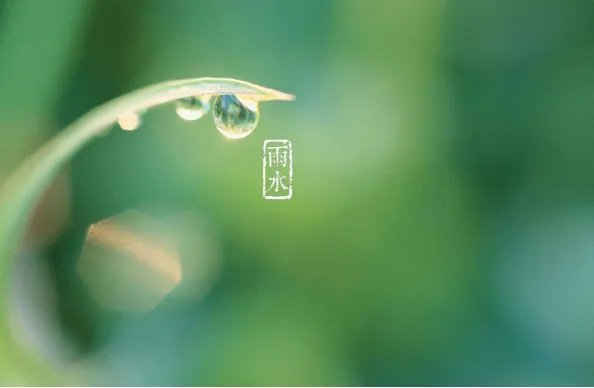 二十四节气图一套 美得令人窒息的二十四节气图