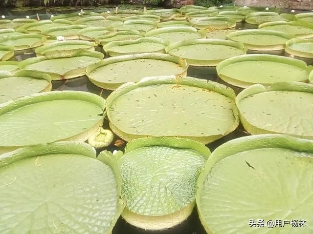 有没有人按照头条上赚钱的方法赚到人生第一桶金？