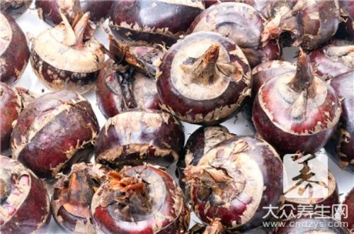 荠菜的功效与作用禁忌有哪些？