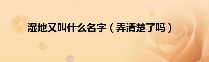 湿地又叫什么名字（弄清楚了吗）