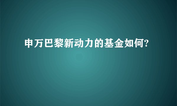 申万巴黎新动力的基金如何?
