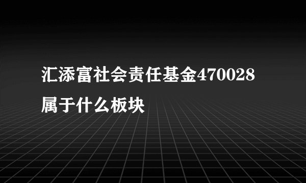 汇添富社会责任基金470028属于什么板块 