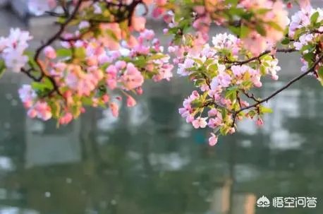 北京有哪些地方适合春游?