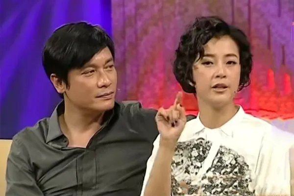 苏岩演过的电视剧大全