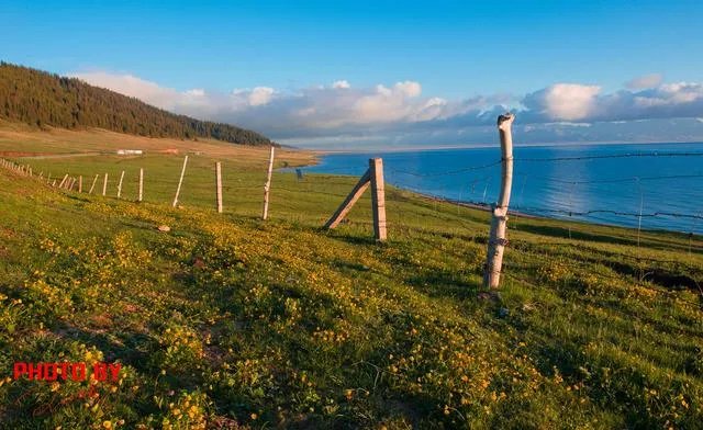 中国哪个草原最漂亮？最值得一去？