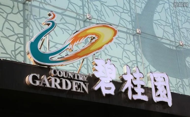 碧桂园年中业绩 2019上半年实现净利润200多亿