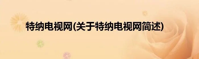 特纳电视网(关于特纳电视网简述)