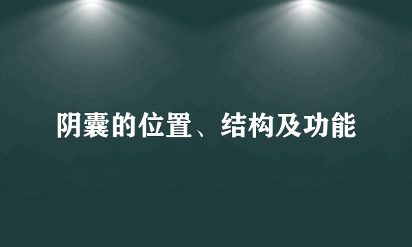 阴囊的位置、结构及功能