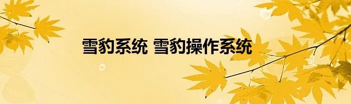 雪豹系统 雪豹操作系统