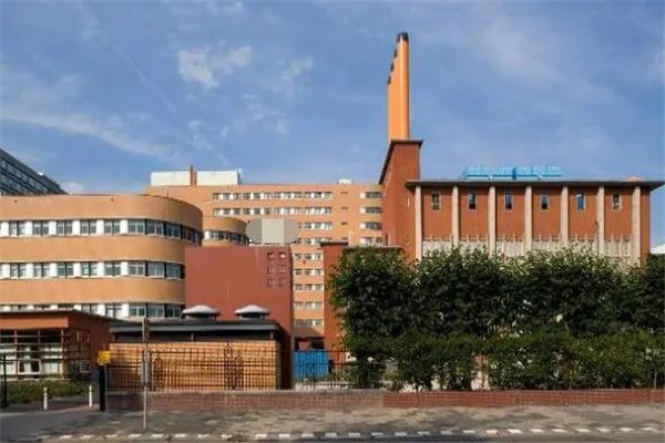 荷兰有哪些比较好的商学院？荷兰商学院排名