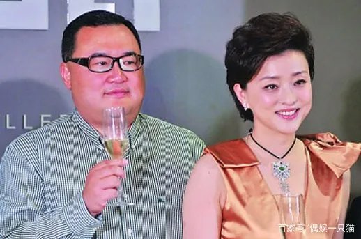 杨澜的老公是谁