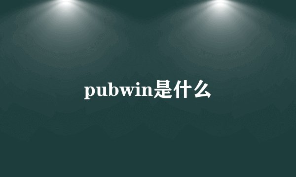 pubwin是什么