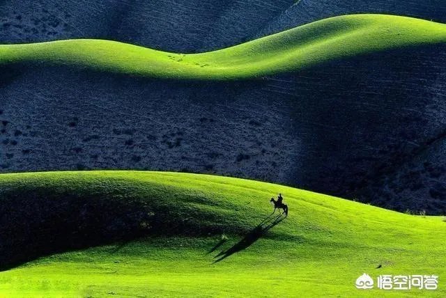 中国哪个草原最漂亮？最值得一去？