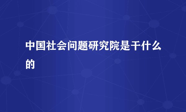 中国社会问题研究院是干什么的