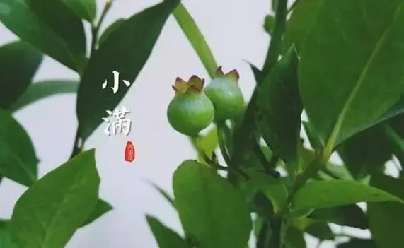 二十四节气图一套 美得令人窒息的二十四节气图