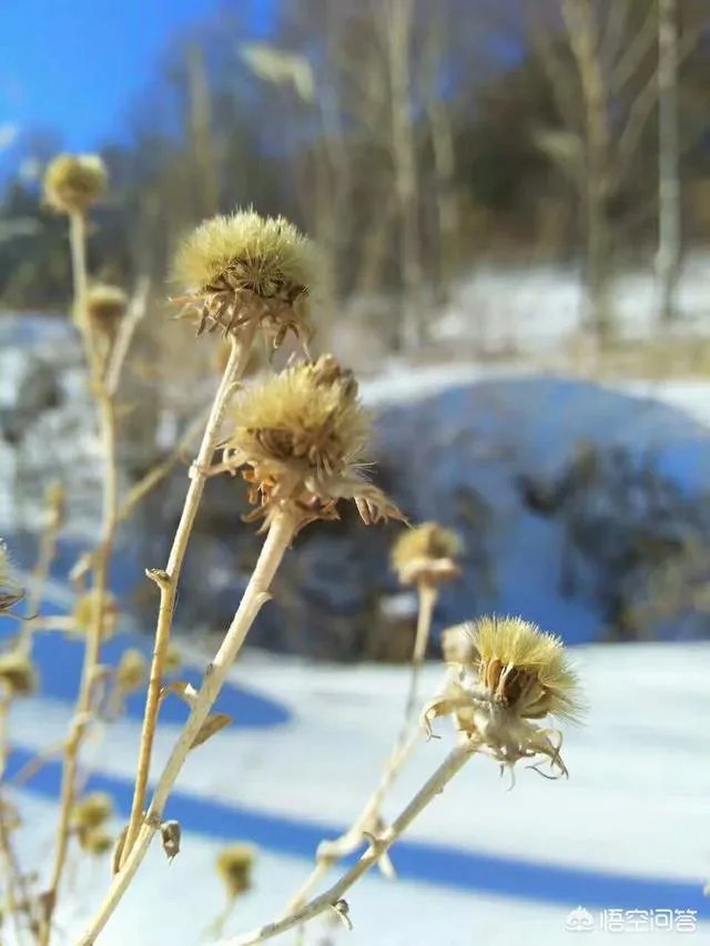 东京食尸鬼哪里可以看