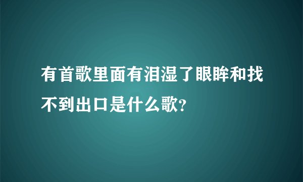 有首歌里面有泪湿了眼眸和找不到出口是什么歌？