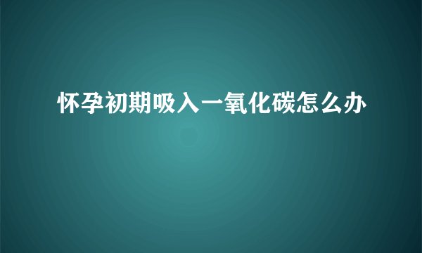 怀孕初期吸入一氧化碳怎么办