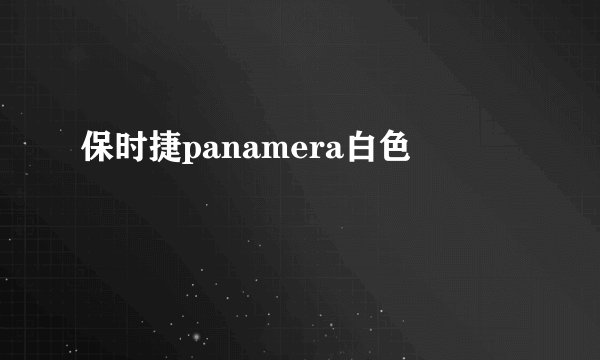 保时捷panamera白色