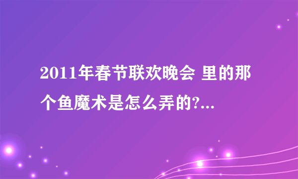 2011年春节联欢晚会 里的那个鱼魔术是怎么弄的? (伊哓豪寻求破解)