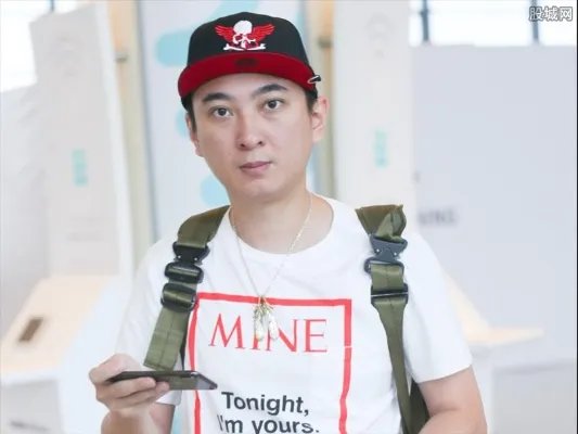 林宁18家公司注销 这究竟是什么情况？