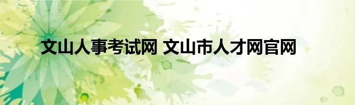 文山人事考试网 文山市人才网官网