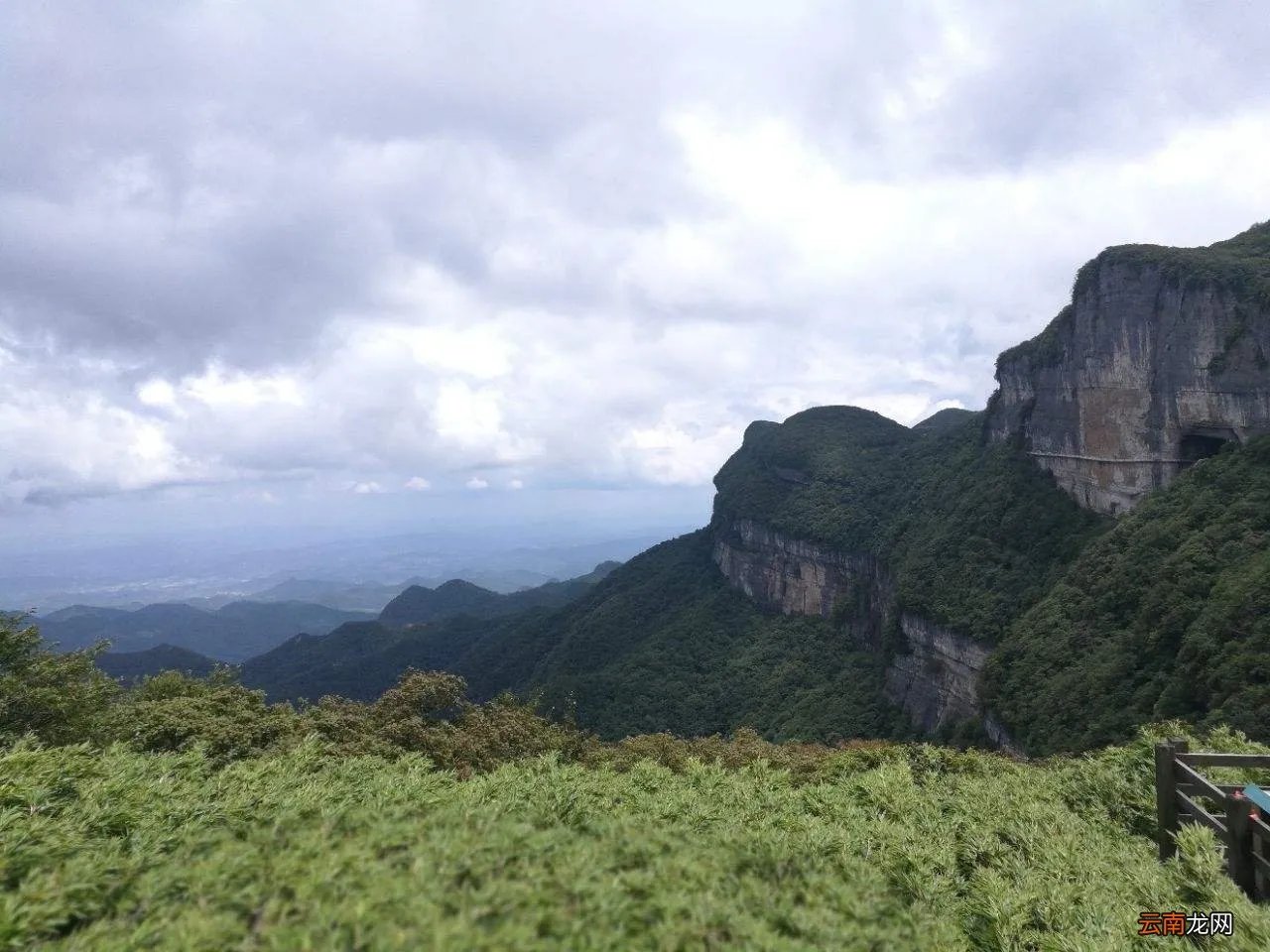 金佛山一日游详细攻略