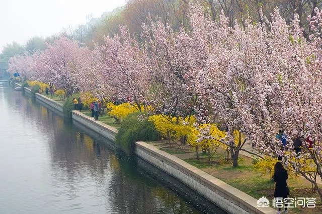 北京有哪些地方适合春游?