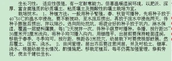 杜仲树种植方法