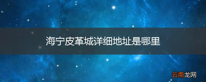海宁皮革城详细地址是哪里