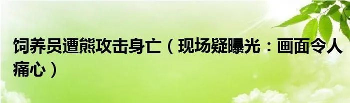 饲养员遭熊攻击身亡（现场疑曝光：画面令人痛心）