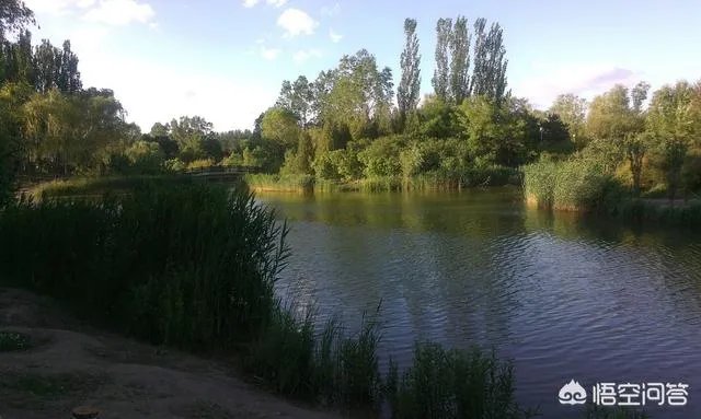 北京有哪些地方适合春游?