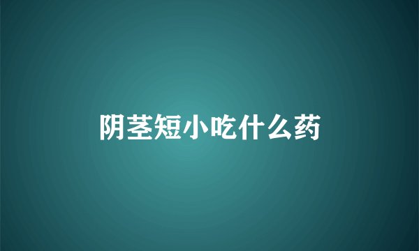 阴茎短小吃什么药