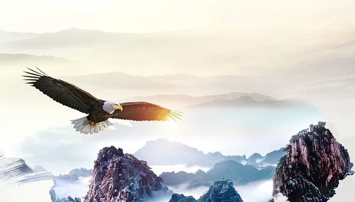 鹰的生活习性 鹰的生活习性有哪些