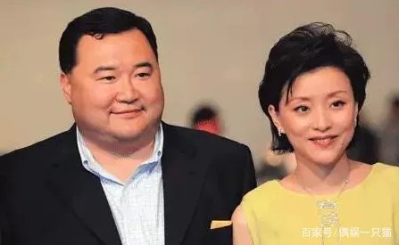 杨澜的老公是谁