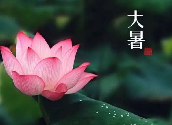 二十四节气图一套 美得令人窒息的二十四节气图