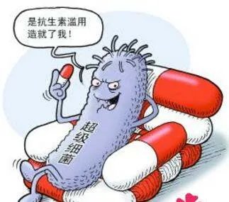 美国发现的首例”无敌细菌“，具体指什么？