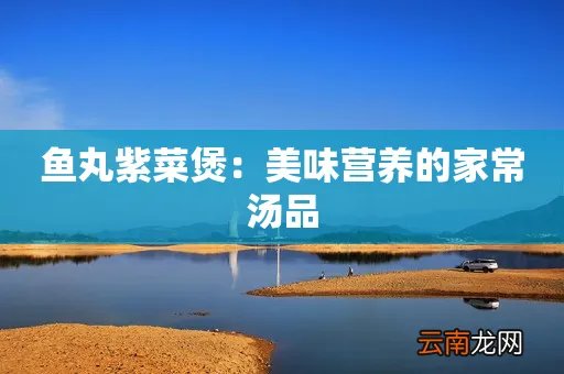 鱼丸紫菜煲：美味营养的家常汤品