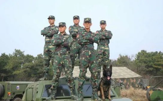 特种兵题材的电视剧有哪些