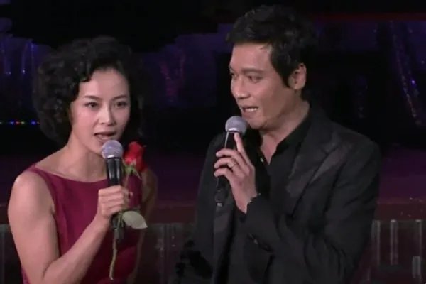 苏岩演过的电视剧大全