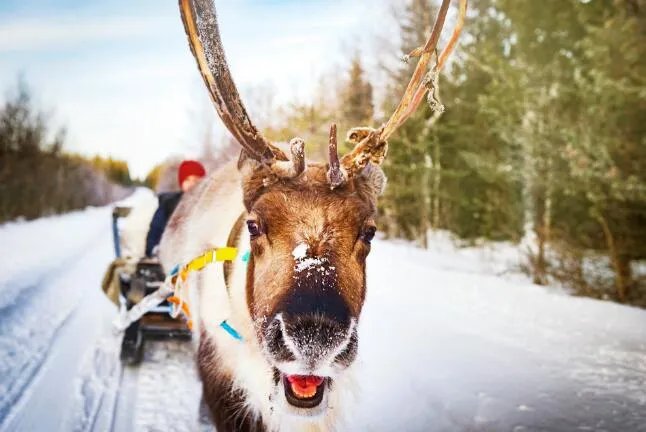 平安夜快乐的祝福图片 平安夜祝大家平平安安的带字图片