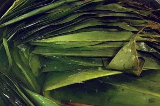 粽叶怎么处理不容易破