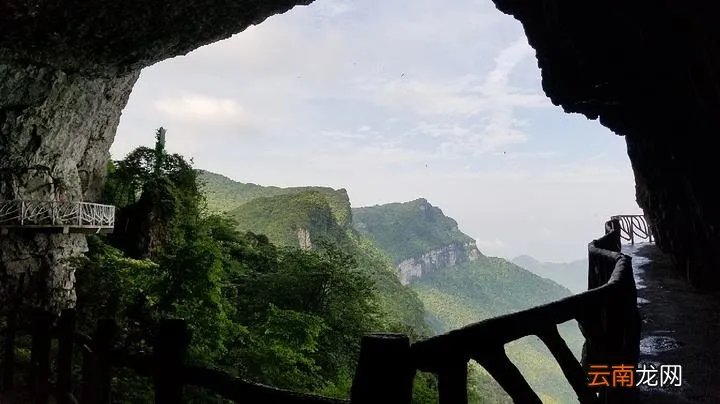 金佛山一日游详细攻略